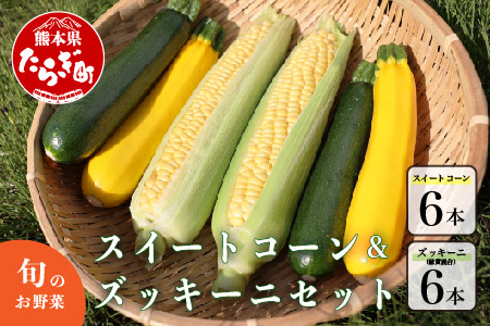 【数量限定】多良木町産 スイートコーン＆ズッキーニ 各6本 合計12本 【5月上旬から順次配送】旬の味覚 夏 野菜 産地直送 コーン とうもろこし 熊本県 089-0689