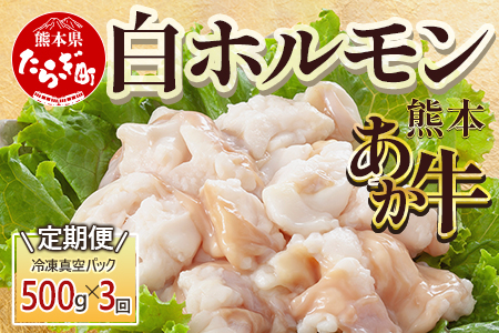 【定期便3回】熊本あか牛 白ホルモン 計1.5Kg (250g×2)×3回 冷凍真空パック【 熊本 熊本県産 あか牛 冷凍 真空 もつ鍋 ホルモン 焼き肉 】 041-0139