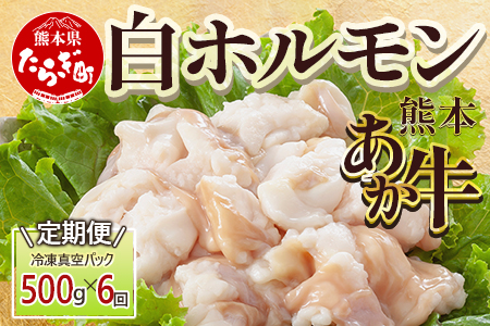 【定期便6回】熊本あか牛 白ホルモン 計3Kg (250g×2)×6回 冷凍真空パック【 熊本 熊本県産 あか牛 冷凍 真空 もつ鍋 ホルモン 焼き肉 】 041-0140