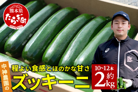 【11月上旬～5月下旬発送】中神農園の ズッキーニ 約2kg (10～12本) 先行予約 野菜 ズッキーニ 熊本県 多良木町 国産 新鮮 2キロ 071-0506