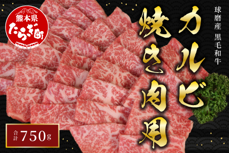 球磨産 黒毛和牛 カルビ 焼き肉 用 750g 前ハラ かいの身 友バラ【 牛肉 和牛 カルビ 食べ比べ 国産 旨味たっぷり 焼肉 JA 】 011-0003