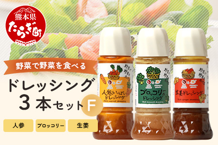 野菜で野菜を食べる ドレッシング 3本 Fセット ＜ニンジン/ブロッコリー/生姜＞ サラダ や 肉料理 にも 詰め合わせ 熊本県 多良木町 調味料 024-0678