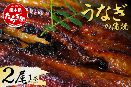 うなぎの蒲焼 2尾（1尾200g以上） オリジナル特製タレで味付け  【 冷凍 うなぎ 鰻 ウナギ 蒲焼 かばやき 】 003-0304