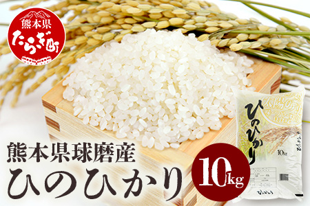 令和7年度産 球磨産 ひのひかり 10kg  新米 お米 精米 米 白米 ひのひかり ヒノヒカリ  036-0505