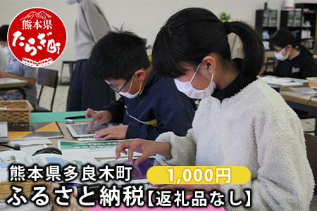 熊本県多良木町への寄附（返礼品はありません）【 ふるさと納税 熊本県 多良木町 応援 寄附 】 028-0344