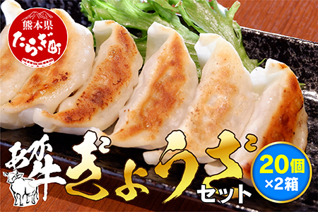 【餃子】 熊本和牛 あか牛 ぎょうざ セット ＜熊本あか牛餃子20個入り×2箱＞ 046-0632