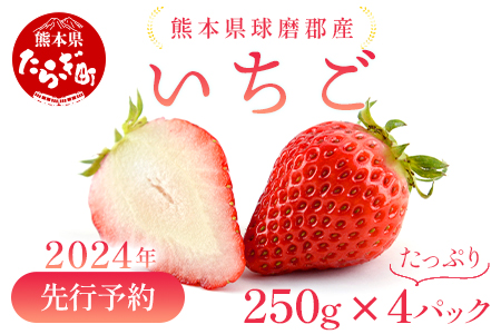 【2024年1月下旬発送開始】球磨産 イチゴ 250g×4パック 先行予約 苺 いちご 【 フルーツ 果物 春 名産 熊本 多良木町 ビタミン 旬 先行予約 くだもの 】004-0038