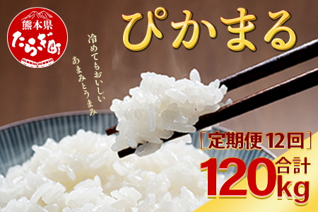 【R6年産米 定期便12回】多良木町産 『ぴかまる』 10kg(5kg×2)×12回 【計 120kg 】 定期便 定期配送 精米 お米 米 艶 粘り 甘み うま味 もちもち 熊本のお米 10キロずつ 120キロ 1年 毎月届く 熊本県 多良木町 044-0595