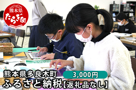 熊本県多良木町への寄附（返礼品はありません）【 ふるさと納税 熊本県 多良木町 応援 寄附 】 028-0344-03