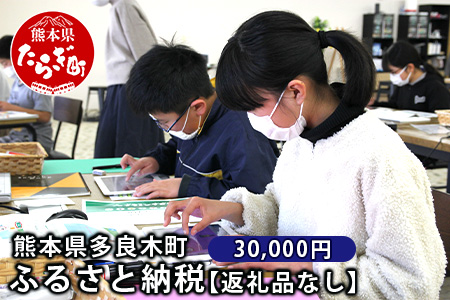 熊本県多良木町への寄附（返礼品はありません）【 ふるさと納税 熊本県 多良木町 応援 寄附 】 028-0344-30