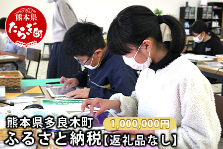 熊本県多良木町への寄附（返礼品はありません）【 ふるさと納税 熊本県 多良木町 応援 寄附 】 028-0344-1000