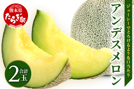 【2026年5月上旬～発送・先行予約】熊本県産 アンデスメロン 2玉 約2.5kg以上 【 ご予約 令和7年 先行 メロン フルーツ 果物 熊本 多良木 たらぎ 】083-0697 2玉 2.5kg以上