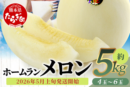 【2026年5月上旬発送開始】【 先行予約 】ホームランメロン 5kg(4-6玉)  予約 ご予約 2026 令和8年 先行 メロン フルーツ デザート 果物 熊本県 多良木町 008-0661