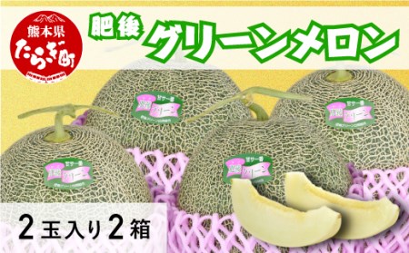 【2026年5月下旬～順次発送】【 先行予約 】熊本県産 肥後グリーン メロン 4玉（2玉入り×2箱） 1玉約1.6kg以上 合計約6.4kg以上 【 メロン 果物 フルーツ 旬 甘い 熊本 多良木 産地直送 】 008-0664