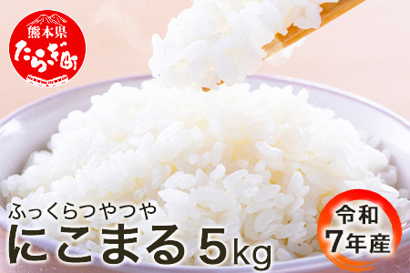 【 令和7年 米 】 米どころ 多良木町産 にこまる 5kg 精米 お米 熊本県 008-0670