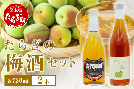 【最短翌々日〜5営業日以内発送】たらぎの 梅酒 セット 720ml × 2本 ≪古代梅酒≫≪ 梅酒文蔵≫ 球磨焼酎 多良木町 米 焼酎 梅 うめ酒 お酒 球磨 贈り物 ギフト 熊本県 多良木町 015-0689
