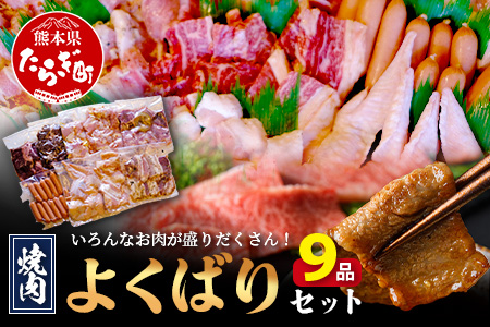 【数量限定】 村上精肉店の 焼肉 よくばりセット 【 9品 味付き 焼くだけ 】 牛カルビ ハラミ 豚バラ タン トントロ 鶏せせり 鶏もも 手羽先 ウインナー 焼き肉 BBQ アウトドア キャンプ 021-0667