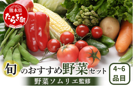 【数量限定】野菜ソムリエ 監修 旬の おすすめ 野菜 セット ４?6品 (1?2名様向け) 野菜 獲れたて 直送 旬 熊本県 多良木町 調味料 024-0801