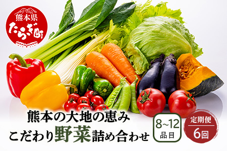 【定期便6回】熊本の大地の恵み 旬の こだわり野菜詰め合わせセット 8?12品 （3?4名様向け）6回配送 獲れたて 新鮮 野菜 セット 詰め合わせ 詰合せ 定期便 産地 直送 国産 季節 旬野菜 家族 ファミリー 多良木町 024-0811