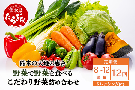 【定期便12回】熊本の大地の恵み≪ 野菜で野菜を食べる ≫ 旬のこだわり 野菜 ＆ドレッシング セット (3?4名様向け) 野菜 獲れたて 8～12品 直送 旬 新鮮 定期便 野菜ドレッシング 詰め合わせ 詰合せ 熊本県 多良木町 024-0816