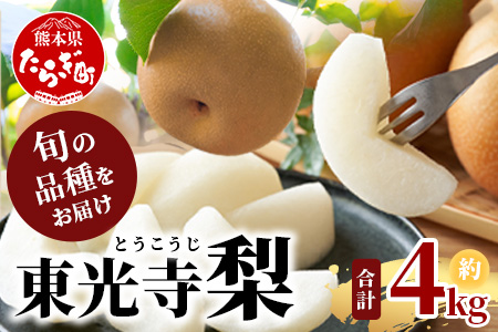 【2026年7月下旬～順次発送】東光寺 梨 4kg (8～15玉) 1箱 先行予約 完熟 フルーツ 果物 夏 旬 幸水 豊水 秋月 新高 新興 東光寺梨