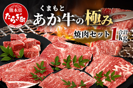【エシカル和牛】あか牛の極み  焼肉セット (モモ・カルビ・煮込用) 【1kg】 バラ カルビ モモ 焼き肉 焼きしゃぶ 煮込み 熊本 あか牛 牛肉 赤身 和牛 国産 033-0504