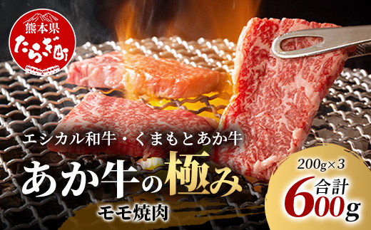 【エシカル和牛】くまもとあか牛【あか牛の極み】モモ焼肉 200g×3 (計 600g) モモ 赤身 熊本 あか牛 牛肉 小分け 焼肉 焼き肉 やきにく BBQ バーベキュー 和牛 国産 SDGs 033-0512 通常発送