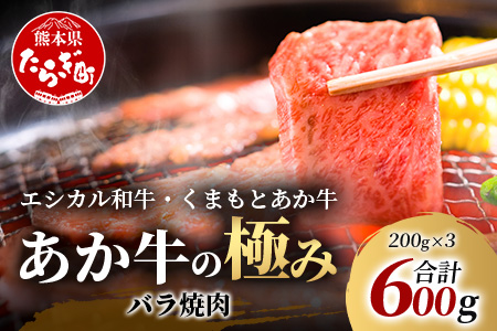 【エシカル和牛】くまもと あか牛【あか牛の極み】バラ焼肉 200g×3 (計 600g) バラ 熊本 赤牛 ジューシー 牛肉 小分け 焼き肉 焼肉 やき肉 BBQ アウトドア 和牛 国産 SDGs