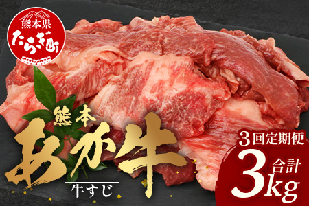 【 定期便 3回 】 熊本 あか牛 スジ肉 1㎏ × 3回 【 合計 3kg 】 牛スジ 【 熊本 熊本県産 あか牛 牛肉 ブランド 肉 お肉 ヘルシー すじ 牛スジ 牛筋 煮込み カレー 冷凍 国産 】 041-0154