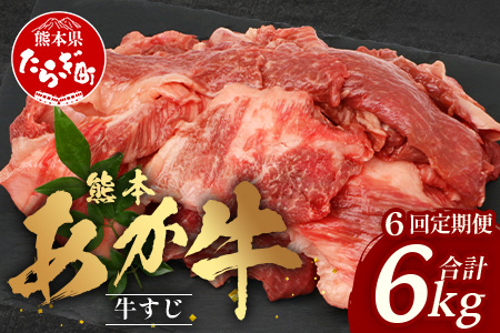 【 定期便 6回 】 熊本 あか牛 スジ肉 1㎏ × 6回 【 合計 6kg 】 牛スジ 【 熊本 熊本県産 あか牛 牛肉 ブランド 肉 お肉 ヘルシー すじ 牛スジ 牛筋 煮込み カレー 冷凍 国産 】 041-0155