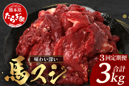 【 定期便 3回 】 熊本県 馬スジ 1㎏（ 500g×2 ） × 3回 【 合計 3kg 】 【 馬肉 すじ肉 大容量 本場 熊本県 馬 赤身 煮込み カレー シチュー 冷凍 真空 熊本 肥育 ヘルシー 赤身 肉 高栄養 肉 】 041-0158