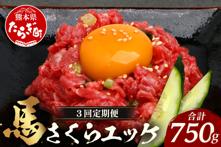 【 定期便 3回 】 熊本県 馬さくらユッケ 250g （ 50g × 5 ） × 3回 【 合計 750g 】 【 馬刺し 本場 熊本 馬さし 小分け ユッケ 冷凍 真空 熊本 肥育 ヘルシー 赤身 肉 高栄養 肉 】 041-0160