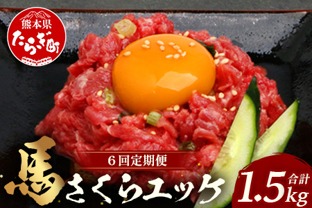 【 定期便 6回 】 熊本県 馬さくらユッケ 250g （ 50g × 5 ） × 6回 【 合計 1500g 】 【 馬刺し 本場 熊本 馬さし 小分け ユッケ 冷凍 真空 熊本 肥育 ヘルシー 赤身 肉 高栄養 肉 】 041-0161