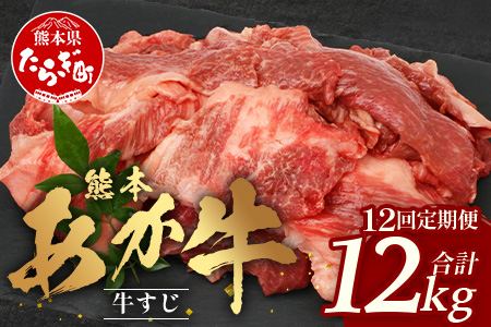 【 定期便 12回 】 熊本 あか牛 スジ肉 1㎏ × 12回 【 合計 12kg 】 牛スジ 【 熊本 熊本県産 あか牛 牛肉 ブランド 肉 お肉 ヘルシー すじ 牛スジ 牛筋 煮込み カレー 冷凍 国産 】 041-0167