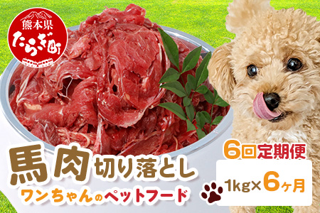 【定期便6回】ペット用 熊本加工 馬肉 切り落とし【 1kg ×6回配送 】 合計 6キロ ドッグ フード 無添加 無香料 ヘルシー 高栄養 馬刺し 冷凍 お肉専門店 熊本県 国内加工 041-0503 定期便6回