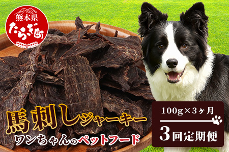【 定期便3回 】ペット用 熊本加工 手作り 馬肉 ジャーキー 【100g×3回】 ドッグ フード ペット おやつ 食事 無添加 無香料 ヘルシー 高栄養 馬肉 ペット お肉専門店 熊本県 馬肉 国内加工 041-0510 定期便3回