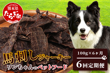 【定期便6回】ペット用 手作り 馬肉 ジャーキー 熊本加工 【100g×6回】 ドッグ フード ペット おやつ 食事 無添加 無香料 ヘルシー 高栄養 馬肉 ペット お肉専門店 熊本県 馬肉 国内加工 041-0511 定期便6回