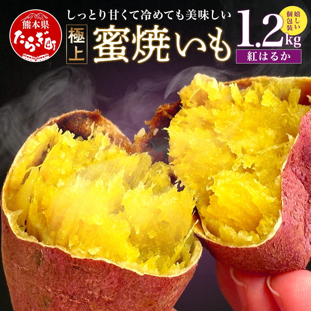 【11月～順次発送】 紅はるか 蜜 焼きいも 合計1.2kg (120g入り×10) 焼き芋  042-0581お芋