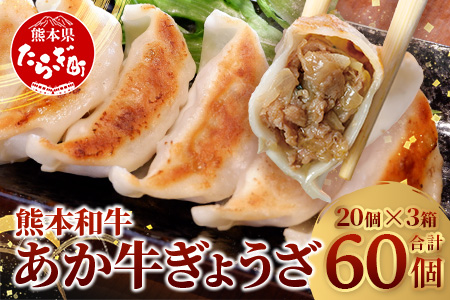 熊本和牛 あか牛 ぎょうざ セット ≪ 熊本あか牛餃子20個入り×3箱 合計60個 ≫ 熊本県 和牛 あか牛 冷凍 生餃子 ぎょうざ おかず 総菜 お弁当