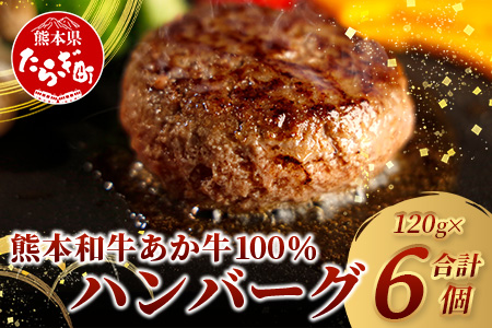 あか牛 100％ ハンバーグ セット 120g×6個 NEWパッケージ 甲誠牛BOX 【 ハンバーグ あか牛 牛肉 肉 熊本産 ギフト 贈り物 贈答 和牛 旨味 うま味 ぎっしり 熊本県 多良木町 牛肉 】046-0645