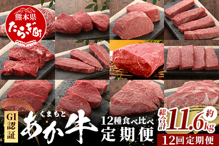 【定期便 12回】≪GI認証≫くまもと あか牛 12種 食べ比べ【家族で ご褒美 定期便】ステーキ シャトーブリアン サーロイン ランプ ミスジ リブ ロース 12回配送 ステーキ 和牛 あか牛 牛肉 赤身 肉 和牛 046-0678