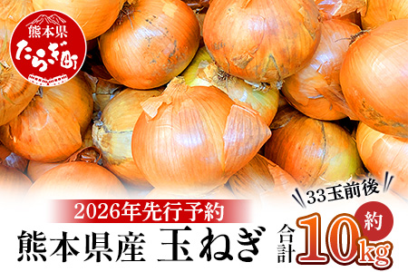 【先行予約】熊本県産 玉ねぎ 10kg (33玉前後) ≪2026年4月下旬から順次発送≫ 玉葱 野菜 数量限定 JAS たまねぎ オニオン 甘い ハンバーグ 肉じゃが 065-0637