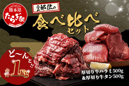 【年内お届け】人気セット！ 厚切り 牛 ハラミ ステーキ＆ 厚切り 牛タン 【合計 1㎏ 】※12月寄附限定 タン先炭火焼付※ 12月19日～27日発送 焼肉 バーベキュー キャンプ アウトドア 牛たん ハラミ 焼き肉 カット済み 塩味 牛肉 肉 冷凍 パック 年内配送 年内発送 067-0672-R712