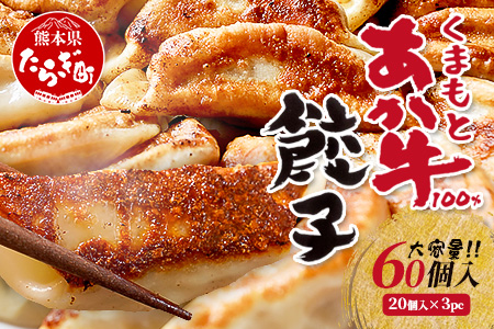 【餃子】 くまもとあか牛 100％ 餃子 計60個（20個×3パック） 冷凍 熊本県産 あか牛 ぎょうざ 餃子 大容量 和牛 牛肉 お手軽 簡単 073-0403