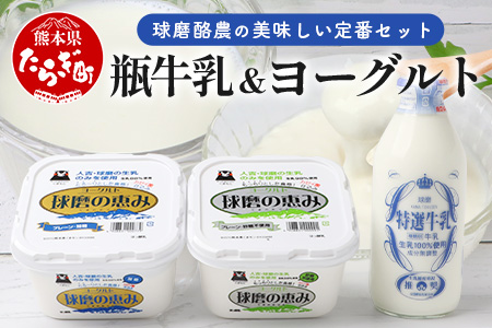 球磨酪農“おいしい定番”セット (瓶 牛乳 & ヨーグルト加糖・砂糖不使用) 牛乳 生乳 ヨーグルト  074-0463