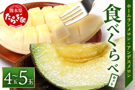 【2026年5月上旬～発送・先行予約】熊本県産 ホームランメロン アンデスメロン 食べ比べ 計4～5玉 約5kg 令和8年 先行 予約  果物 熊本 メロン フルーツ 083-0624 計4～5玉 約5kg
