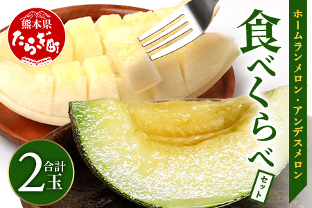 【2026年5月上旬～次発送・先行予約】熊本県産 ホームランメロン アンデスメロン 食べ比べ 計2玉 約2.5kg以上 メロン フルーツ 果物 083-0625 計2玉 約2.5kg