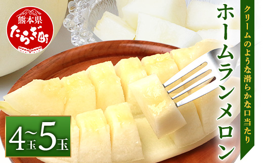 【2026年5月上旬発送開始】【先行予約】熊本県産 ホームランメロン 4～5玉 約5kg ご予約 令和7年 メロン フルーツ 果物 熊本 多良木 たらぎ 083-0698