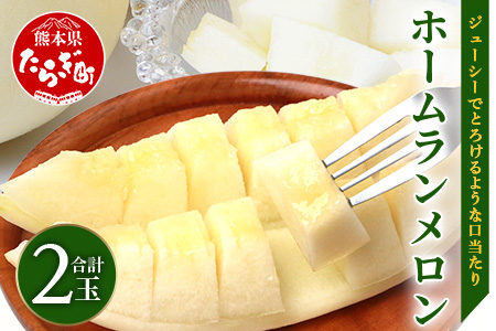 【2026年5月上旬発送開始】【先行予約】熊本県産 ホームランメロン 2玉 約2.5kg以上 令和7年 ご予約 メロン フルーツ 果物 熊本 多良木 083-0699