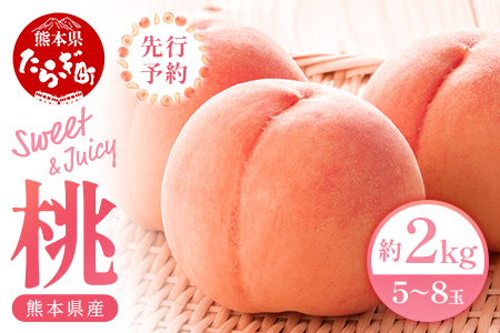 【先行予約】 桃 (5～8玉) 約 2kg 「厳選した桃をお届けします！」 2026年6月下旬～順次発送 087-0656